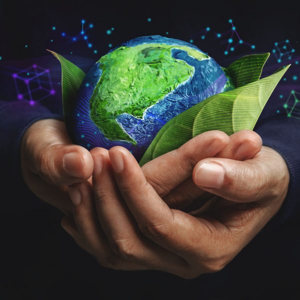 mundo-verde-energy-canarias